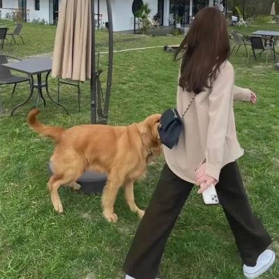 我们是硬汉
